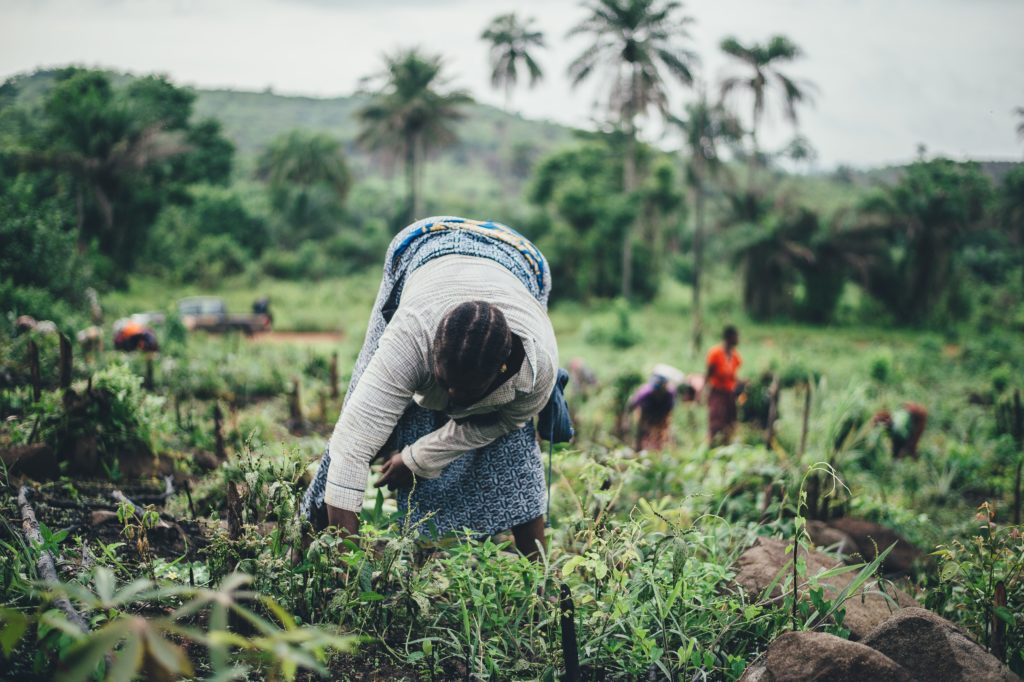 Farming Africa GIC Capital